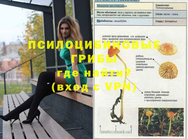 ALPHA-PVP Карталы