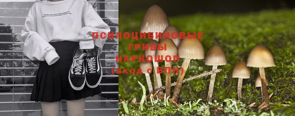 кокс Карпинск