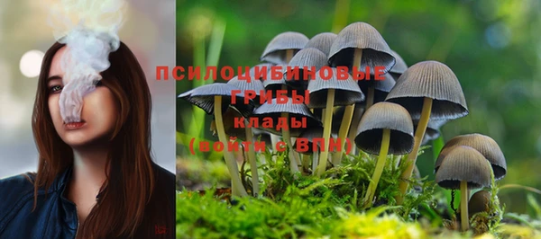 кокс Карпинск
