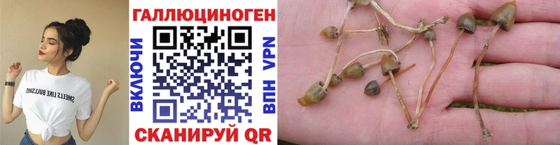 Галлюциногенные грибы Magic Shrooms  Купить закладки  Буй 